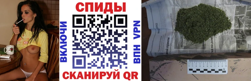 сколько стоит  Нея  БУТИРАТ буратино 
