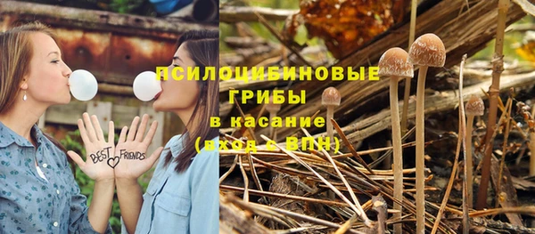 кокаин Гусь-Хрустальный