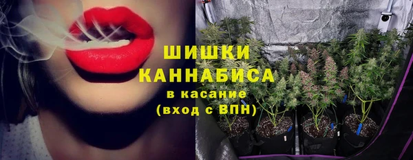 дмт Гусиноозёрск